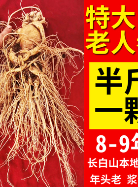 特大新鲜人参泡酒大人参大条一斤现挖带土东北长白山老野生山参