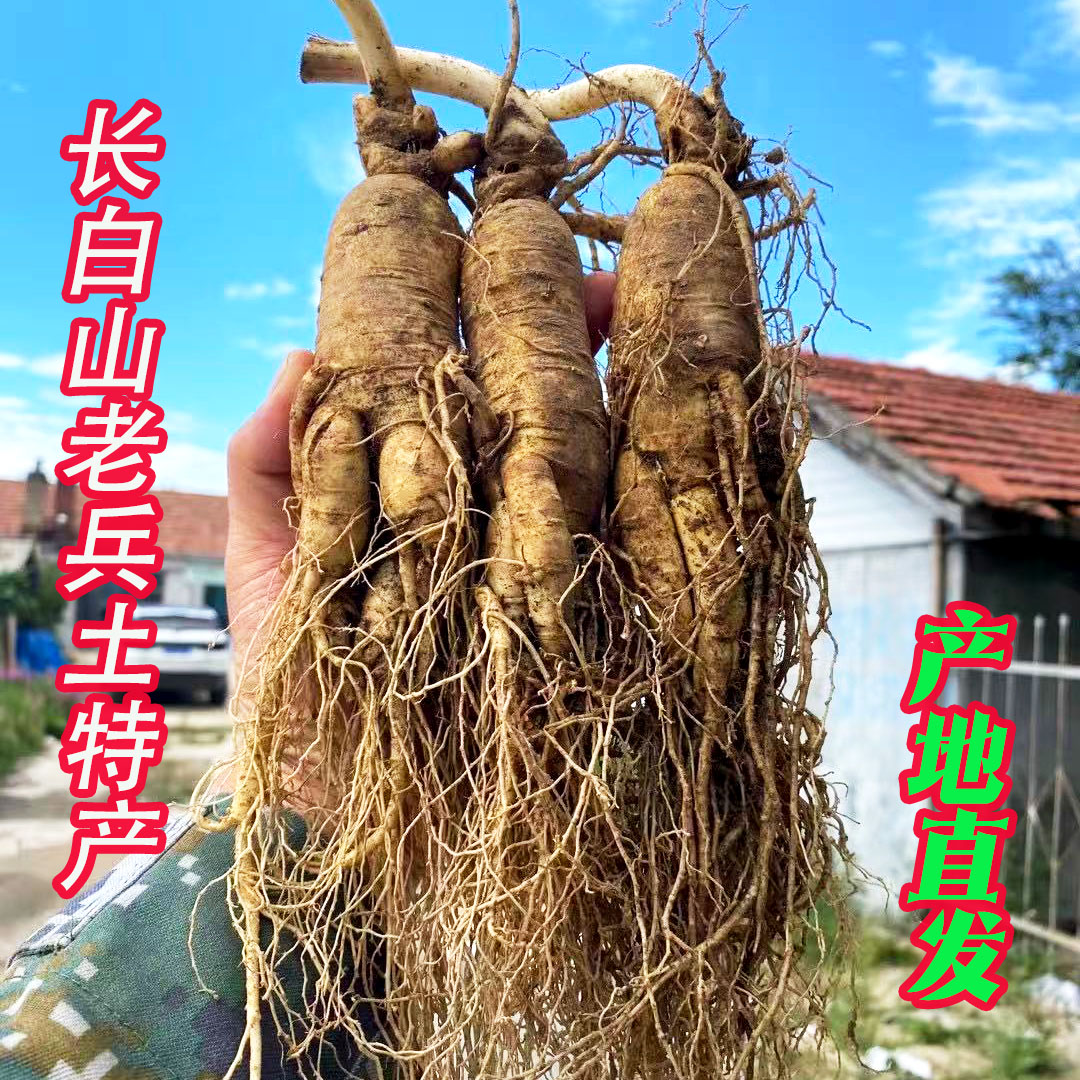 长白山特大新鲜人参东北吉林现挖带土人参泡酒专用生人参煲汤蜜片
