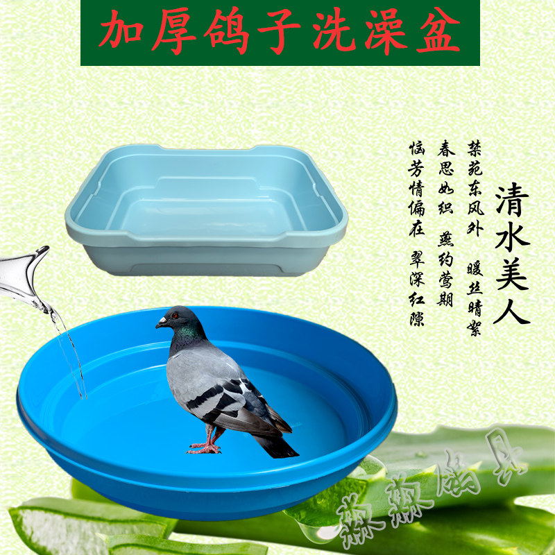 鸽子用品用具信鸽赛鸽观赏鸽澡盆大号鸽子洗澡 鸽舍专用 加厚包邮