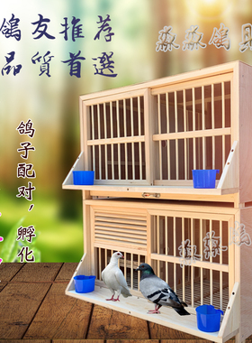 鸽子巢箱组合赛飞种鸽笼养殖笼繁殖笼配对笼包邮大号信鸽巢窝木制