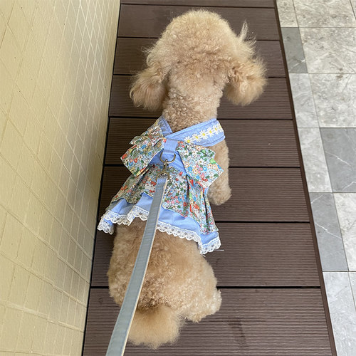 可爱背心式花边狗牵引绳