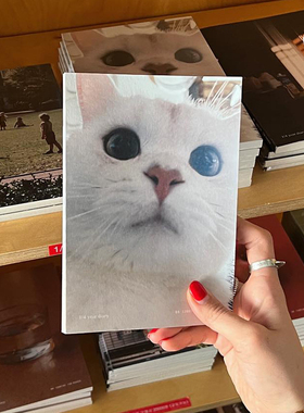 duye度也 韩国allwrite爆款maki小猫三个月万年历手账笔记本手帐