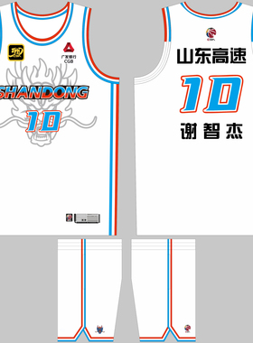 CBA山东男篮球衣谢智杰10号陶汉林20号美式篮球队服定制印号LOGO