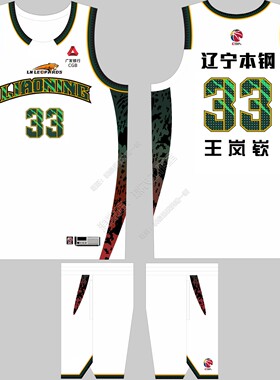 CBA辽宁队球衣王岚嵚33号赵继伟3号李虎翼37号张陈治锋31号篮球服