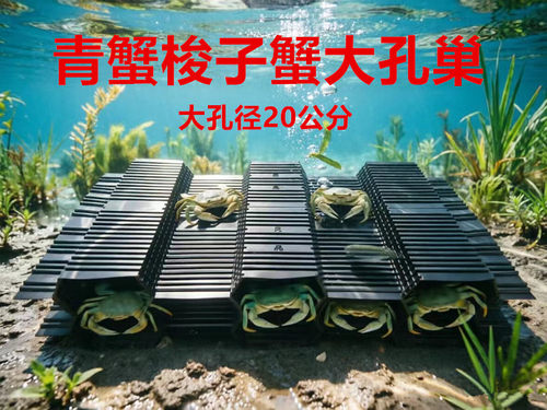 大孔螃蟹养殖巢青蟹屋人工养殖塑料蜂窝梭子蟹养殖巢
