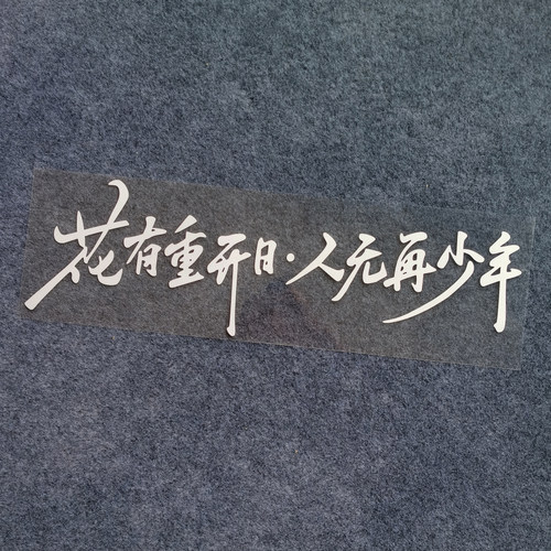 花有重开日个性创意文字车贴