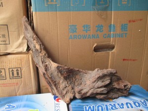 天然紫柚木沉水木/精品M182号 5指型 纹理好多分叉 ADA 沉木柚木