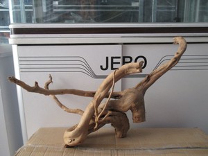 鱼缸造景 摆件 水草造景 大号杜鹃根909号 优质 底座很平 新进