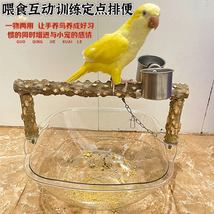 鹦鹉定点排便站架垃圾桶玄凤小太阳拉屎训练神器手养食杯桌面站架