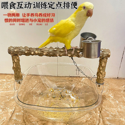鹦鹉定点排便站架垃圾桶玄凤小太阳拉屎训练神器手养食杯桌面站架