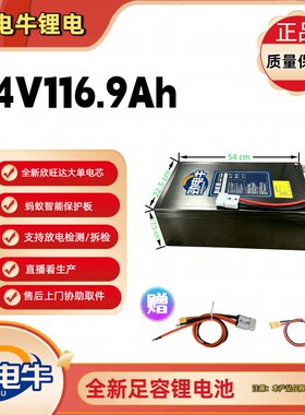 全新A品74V116.9Ah锂电池