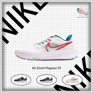 Nike FD4322 161 Pegasus 跑鞋 Zoom Air 耐克 气垫减震
