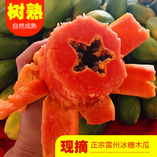 雷州树上自然熟新鲜下奶木瓜
