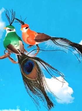 羽毛仿真孔雀微景观模型桌面摆件