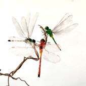 仿真蜻蜓3D立体昆虫磁性创意冰箱贴昆虫车内装 饰室内摆件盆景造景