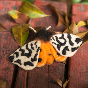 【植作】AFTERFLY原创手工刺绣彩色仿真飞蛾 花园虎蛾羊毛毡胸针