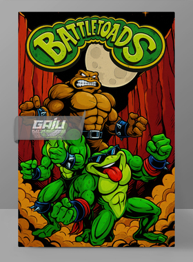忍者蛙装饰画战斗蛙墙画战蛙Battle Toads壁画游戏原创高清挂画