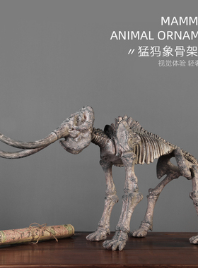 仿真动物教学道具橱窗摆件