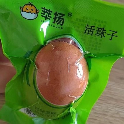 莘扬活珠子13天新鲜开袋即食香辣五香味活鸡蛋珠子非毛蛋熟凤凰蛋