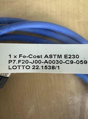 ELSI 热电偶 P7F20-J00-A0030-C9-0(念奴配件）