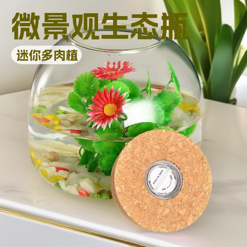 微景观生态瓶苔藓植物玻