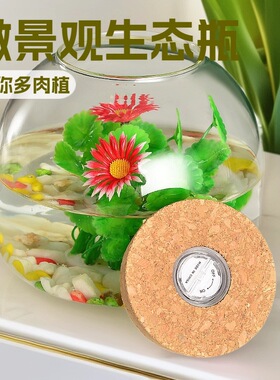 微景观生态瓶苔藓植物玻