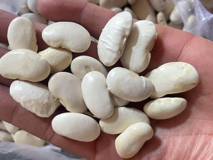 浦城白玉豆干白豆子干炖肉豆菜肴农家干货杂粮500克4份包邮