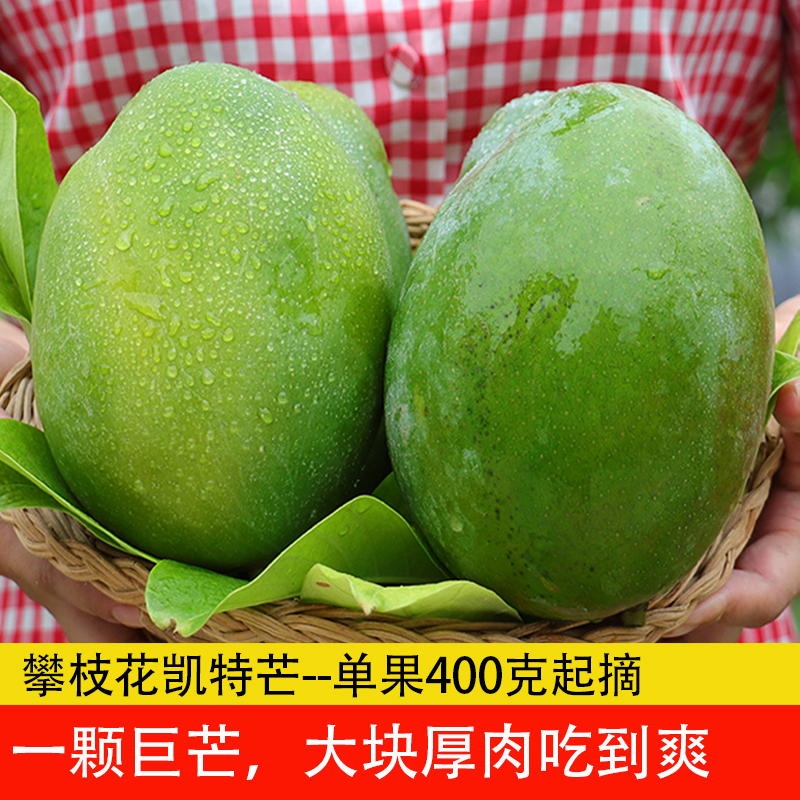 【新鮮發(fā)貨】四川攀枝花凱特芒果新鮮9斤應(yīng)季整箱當(dāng)季甜大青水果