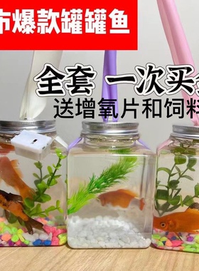 网红罐罐鱼发光泡泡鱼罐方形斗鱼罐生态微景水草鱼缸摆摊神器夜市