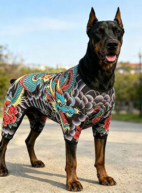 狗狗衣服四脚连体衣龙纹紧身纹身衣高弹防脏保护服宠物服装四季款