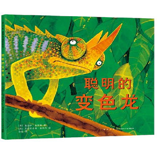 变色龙 聪明 精 英 新星 莫温伊·海蒂斯 新华正版