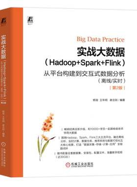 实战大数据:Hadoop+Spark+Flink:从平台构建到交互式数据分析:离线/实时
