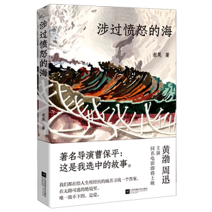 海 新華正版 涉過憤怒 江蘇文藝 老晃