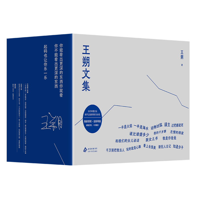 【新华正版】王朔文集(共15册) 王朔 北京十月文艺
