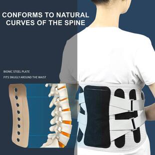 Trainer Professional Lumbar Waist Brace Back Support