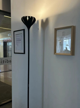 Artemide 意大利FLORENSIS LED F BLACK个性简约设计感调光落地灯