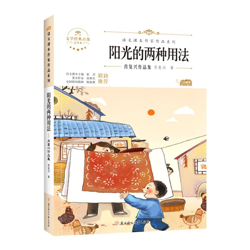 阳光的两种用法:肖复兴作品集