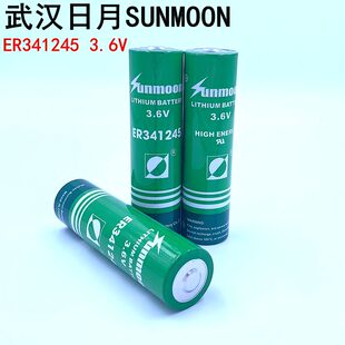 武汉日月ER341245  3.6V PGS长效 钻探棒3.6V锂电池流量计量表DD