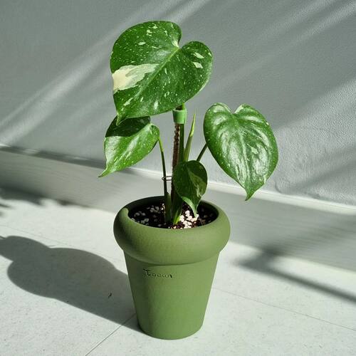 TeeUM韩国花盆手工制透气排水