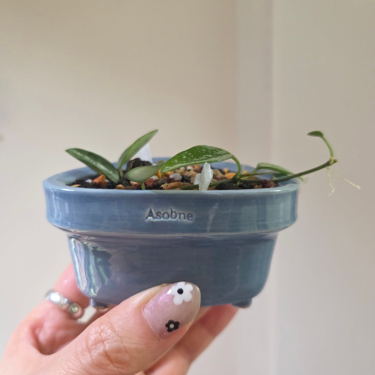 「国内现货」TeeUM韩国制｜手工釉烧花盆｜粉色三角创意盆｜礼品