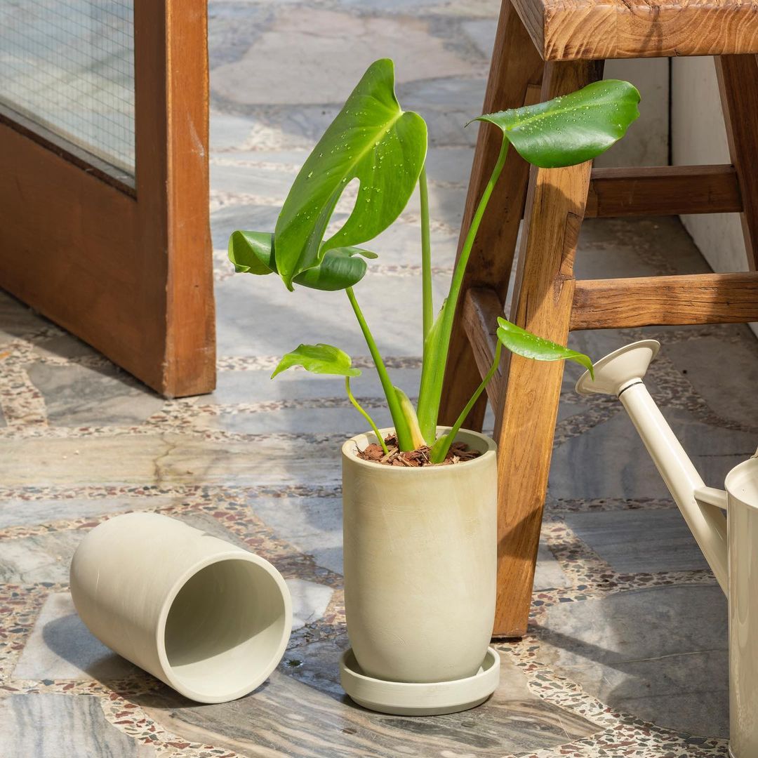 陶土韩国花盆纯手工TeeUM