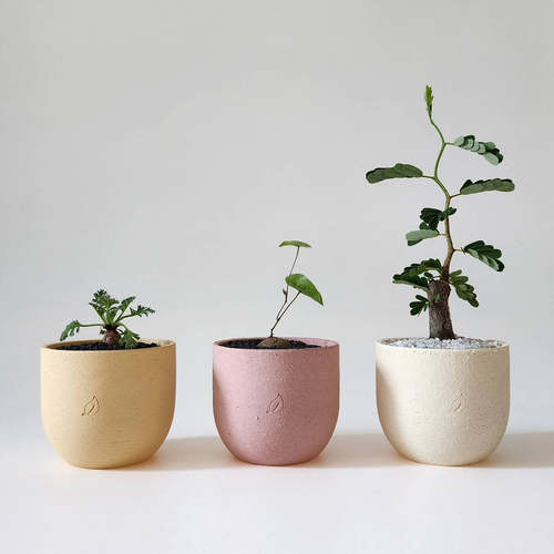 TeeUM韩国制｜手工多肉花盆｜迷你桌面装饰盆｜素烧办公礼品摆设