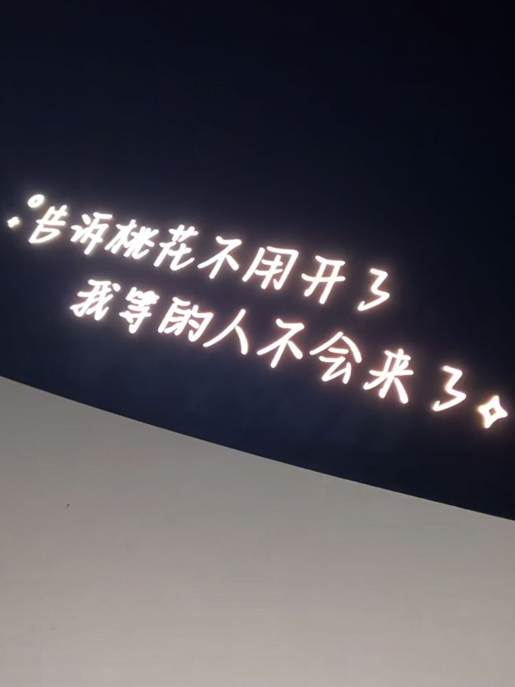 强盛集团车贴狂飙汽车贴纸