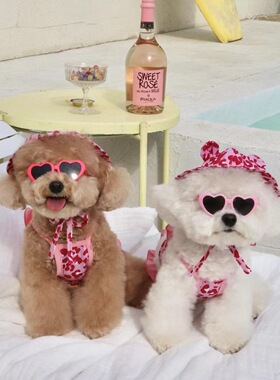 韩国INS狗狗泳衣带泳帽连体吊带比基尼背心泳装衣服宠物用品