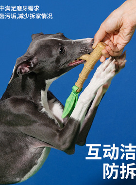 zeze竹子磨牙棒宠物猫咪洁齿猫玩具自嗨解闷逗猫安全耐咬狗狗玩具