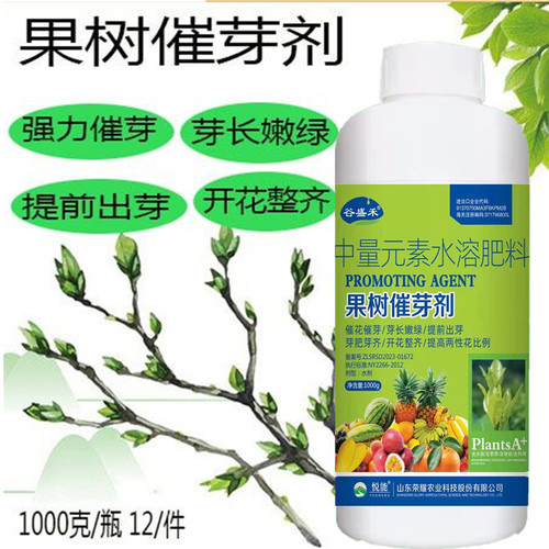 包邮1000克果树催芽抽枝柑桔