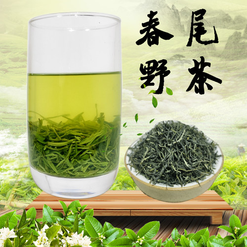 信阳毛尖2023新茶一级500g装产地