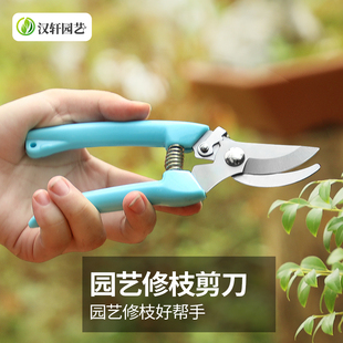 汉轩园林园艺剪刀树枝粗枝摘果剪果树家用多功能修枝剪花艺剪工具