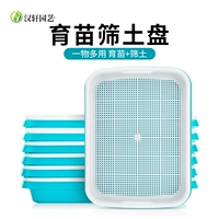 Hanxuan Multi -Flesh -flesh Siete Plate Plate Seed Seed Plate Plate Bean Bean Cropt Oepation