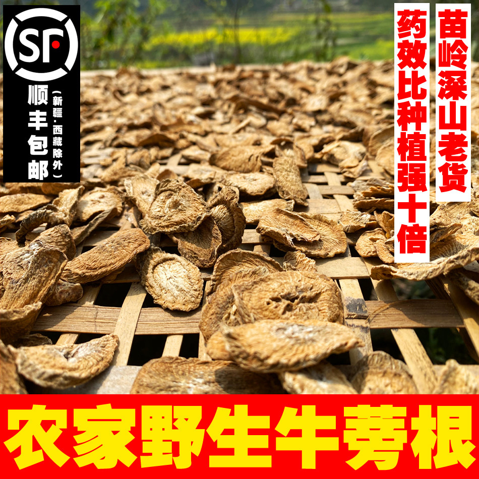 贵州侗家野生牛蒡根天然